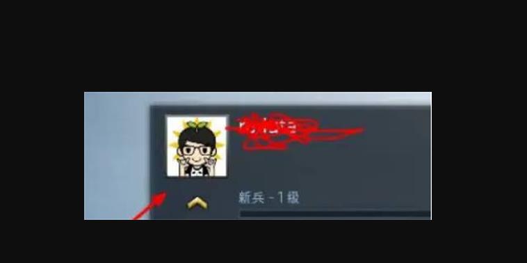 csgo打开后没有头像怎么办